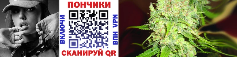 Где можно купить наркотики Чехов А ПВП  ГАШ  МЕГА ТОР  Марихуана 