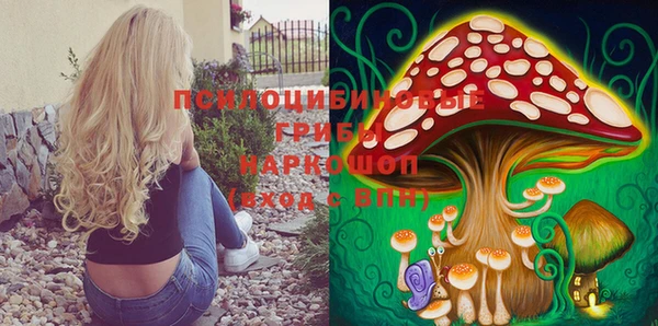 МДПВ Осташков
