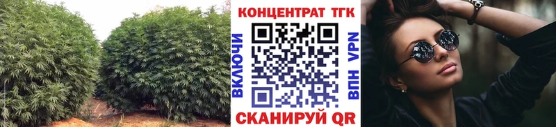 сколько стоит Чехов Дистиллят ТГК гашишное масло