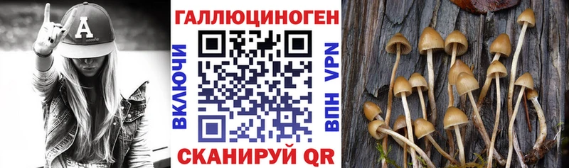 Галлюциногенные грибы Magic Shrooms  Чехов 